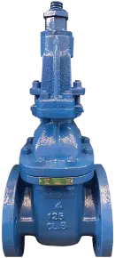 Gate Valves