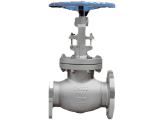 Globe Valve