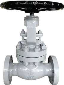 Globe Valves
