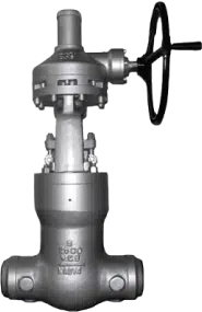 Globe Valves